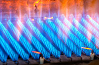 Plumpton End gas fired boilers